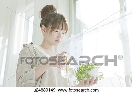 Stock Photo - Young Woman Watering Houseplant. Fotosearch