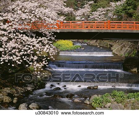 Yugawara Hot Spring Resort Area View Large Photo Image Stock Image - Yugawara Hot Spring Resort Area. Fotosearch