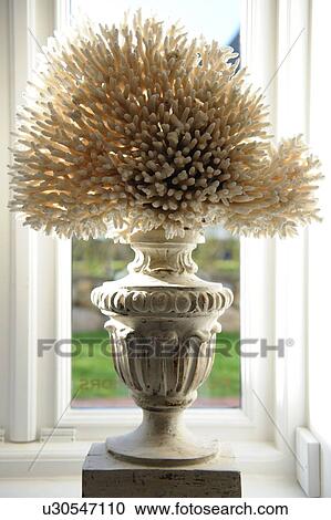 Stock Image - Amphora with dried flower. Fotosearch