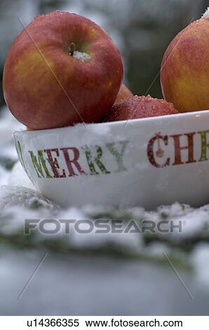 Apples in festive bowl View Large Photo Image Stock Photography - Apples in festive bowl. Fotosearch