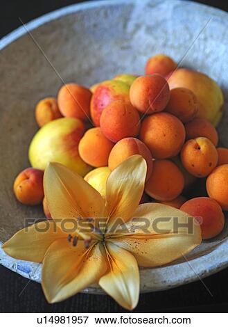 Apricots, apples and lily blossom in a bowl View Large Photo Image Stock Photo - Apricots, apples and lily blossom in a bowl. Fotosearch