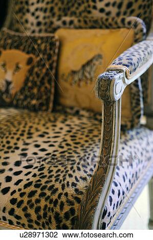 Armchair With Leopard Print Stock Image U28971302 Fotosearch Armchair With Leopard Print Stock Image