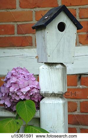 Stock Image - Birdhouse and Hydrangea. Fotosearch