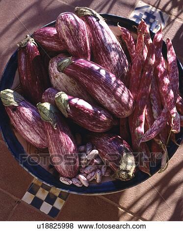 Bowl with Aubergines View Large Photo Image Stock Photo - Bowl with Aubergines. Fotosearch