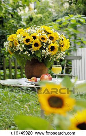 Bunch of flowers and fruit on garden table View Large Photo Image Stock Image - Bunch of flowers and fruit on garden table. Fotosearch