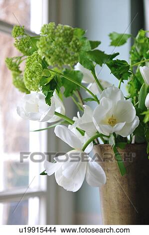 Picture - Bunch of flowers at the window. Fotosearch