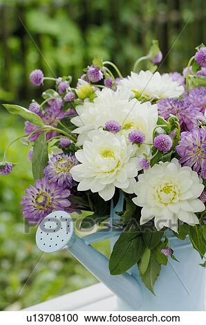 Bunch of flowers with clover and Dahlia View Large Photo Image Stock Image - Bunch of flowers with clover and Dahlia. Fotosearch