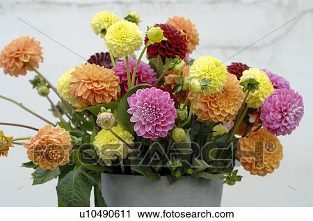 Bunch of flowers with Dahlia View Large Photo Image Stock Image - Bunch of flowers with Dahlia. Fotosearch