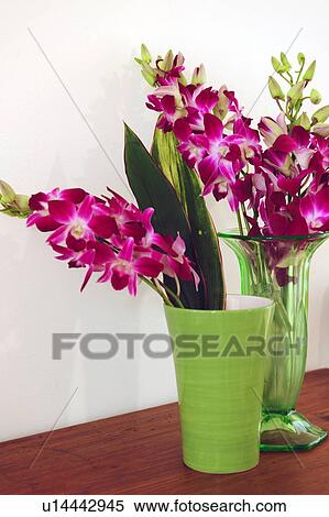 Bunch of flowers with orchids View Large Photo Image Stock Photography - Bunch of flowers with orchids. Fotosearch