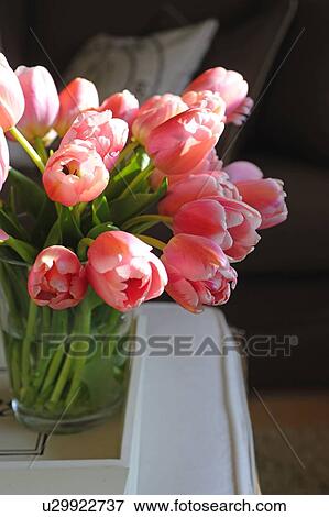 Bunch of pink tulips View Large Photo Image Stock Photo - Bunch of pink tulips. Fotosearch