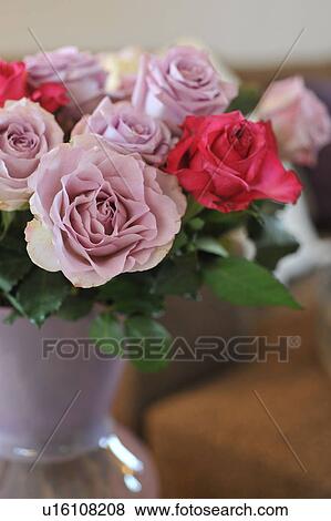 Bunch of roses View Large Photo Image Stock Photo - Bunch of roses. Fotosearch