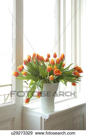 Stock Photo - Bunch of tulips in windowsill. Fotosearch