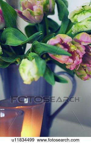 Bunch of tulips View Large Photo Image Stock Photo - Bunch of tulips. Fotosearch