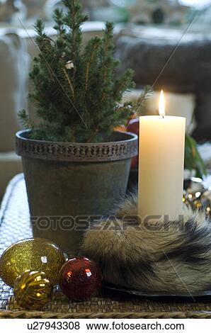 Burning candle and potted plant View Large Photo Image Stock Photo - Burning candle and potted plant. Fotosearch