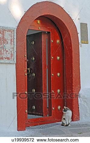 Stock Image - Cat sitting in front of red door. Fotosearch