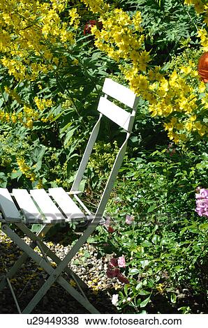 Chair in garden View Large Photo Image Stock Photo - Chair in garden. Fotosearch