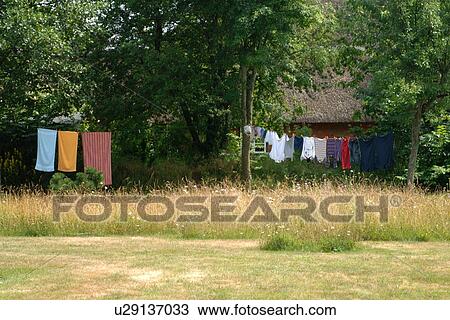 Stock Image - Clothes hanging on clothesline in garden. Fotosearch