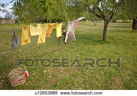 Stock Photo - Clothes hanging on clothesline in garden. Fotosearch