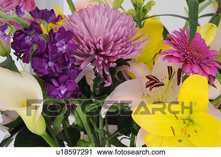 Colorful bunch of flowers View Large Photo Image Stock Image - Colorful bunch of flowers. Fotosearch