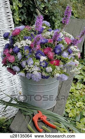 Colorful bunch of flowers with Aster View Large Photo Image Picture - Colorful bunch of flowers with Aster. Fotosearch