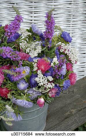 Colorful bunch of flowers with Aster View Large Photo Image Picture - Colorful bunch of flowers with Aster. Fotosearch