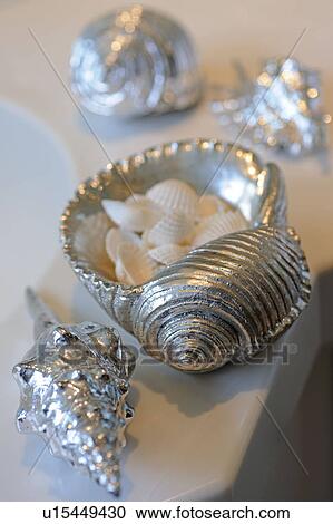 Decorative seashells and snail shell View Large Photo Image Stock Image - Decorative seashells and snail shell. Fotosearch