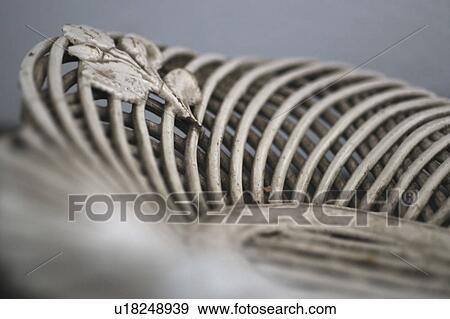 Stock Photo - Decorative spiral with leaf. Fotosearch