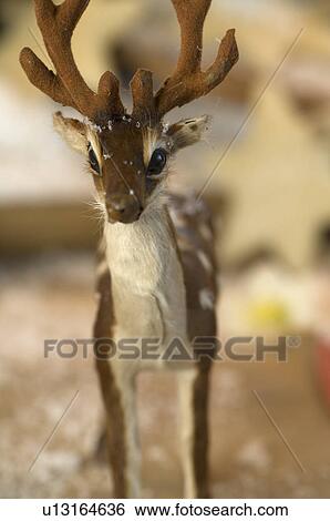 Deer figurine View Large Photo Image Stock Photograph - Deer figurine. Fotosearch