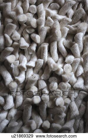 Stock Photo - Detail of a rug. Fotosearch
