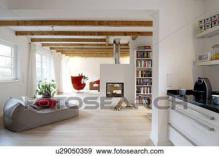 Stock Photo - Dog lying by the fireplace in modern bright house. Fotosearch