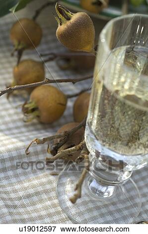 Stock Photo - Drink and fruits. Fotosearch