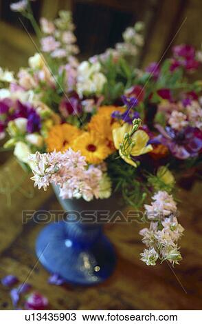Flower bouquet with larkspur, pot marigold and stocks View Large Photo Image Stock Image - Flower bouquet with larkspur, pot marigold and stocks. Fotosearch