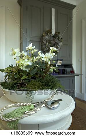 Stock Photo - Flowering plant in a jardiniere. Fotosearch