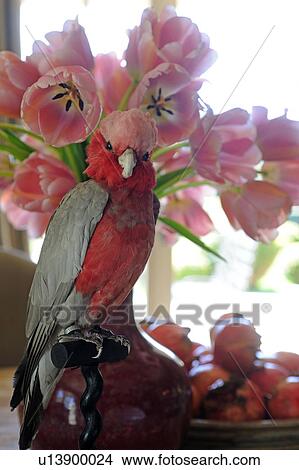 Picture - Flowers and bird figurine. Fotosearch