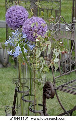 Stock Image - Flowers and raspberries in garden. Fotosearch