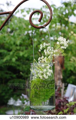 Stock Photo - Flowers in a glass in garden. Fotosearch