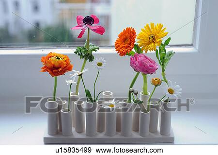 Flowers in windowsill View Large Photo Image Stock Photo - Flowers in windowsill. Fotosearch