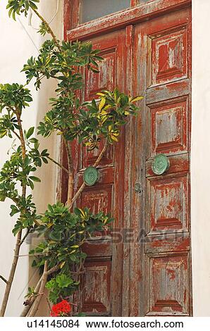 Picture - Foliage plant at front door. Fotosearch