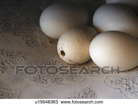 Stock Image - Four white eggs. Fotosearch