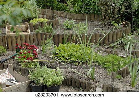 Stock Image - Garden with wooden palisades. Fotosearch