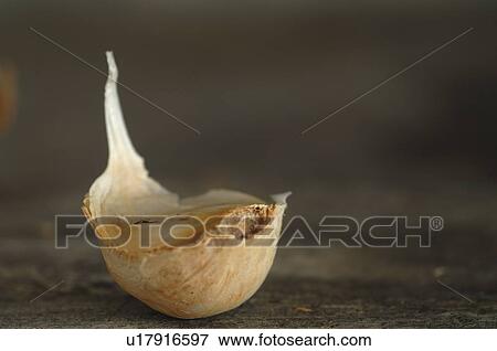 Garlic clove View Large Photo Image Stock Photo - Garlic clove. Fotosearch