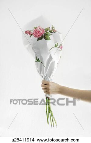 Hand holding wrapped bunch of flowers View Large Photo Image Picture - Hand holding wrapped bunch of flowers. Fotosearch