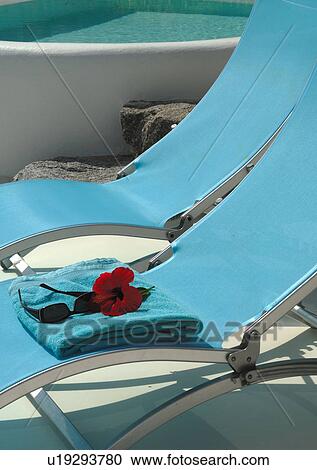 Hibiscus blossom on deckchair by the poolside View Large Photo Image Stock Image - Hibiscus blossom on deckchair by the poolside. Fotosearch
