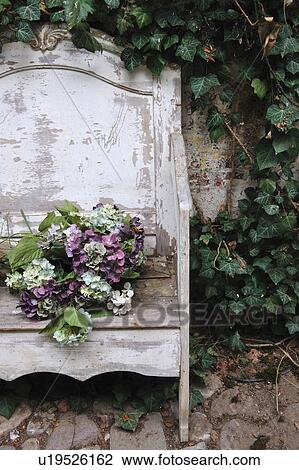 Stock Image - Hydrangea on garden bench. Fotosearch