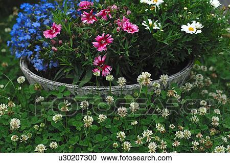 Stock Image - Jardaniere with flowers in garden. Fotosearch