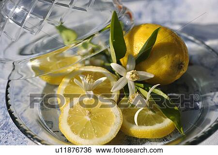 Lemon slices on plate View Large Photo Image Stock Photograph - Lemon slices on plate. Fotosearch