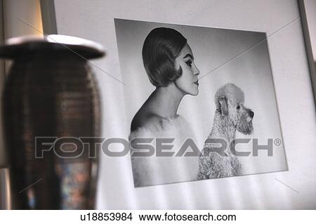 Old photograph and jug View Large Photo Image Picture - Old photograph and jug. Fotosearch