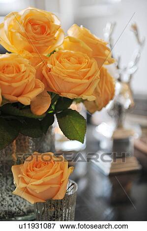 Orange rose blossoms View Large Photo Image Stock Photo - Orange rose blossoms. Fotosearch