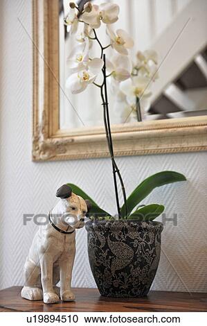 Stock Image - Orchid and dog figurine on dresser. Fotosearch