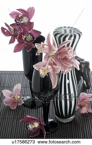 Orchids in vases View Large Photo Image Stock Image - Orchids in vases. Fotosearch